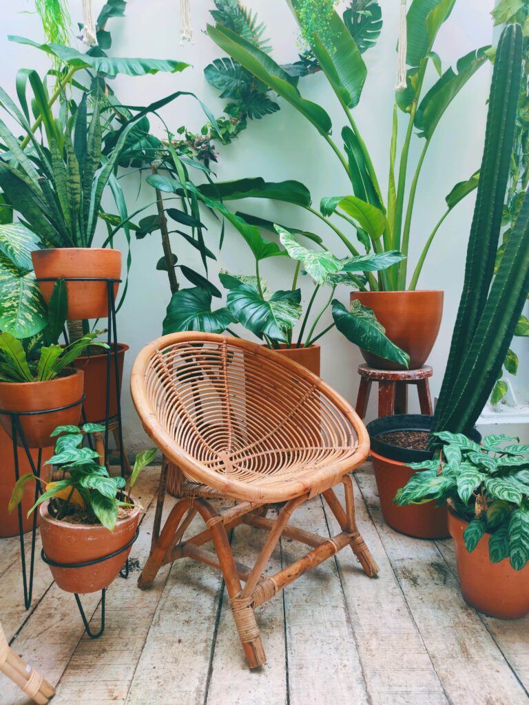 Aménager un balcon : s'entourer de plantes vertes